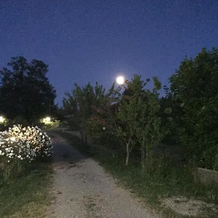 Qua Da Noi